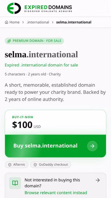 Screenshot of selma.international