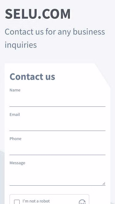 Screenshot of selu.com