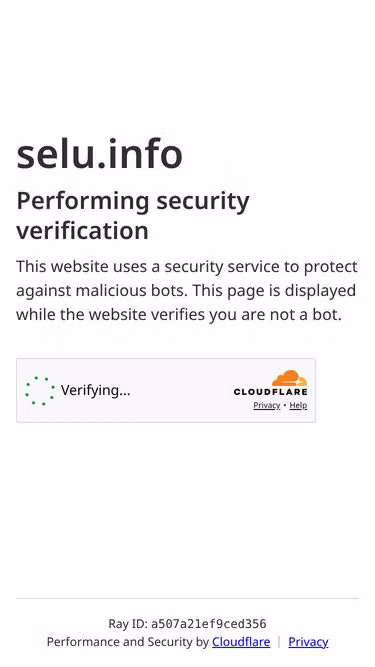 Screenshot of selu.info