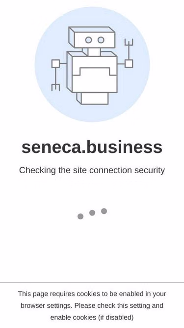 Screenshot of seneca.business