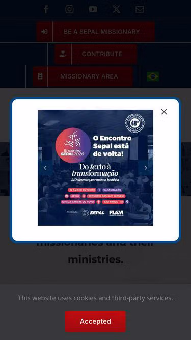 Screenshot of sepal.org.br