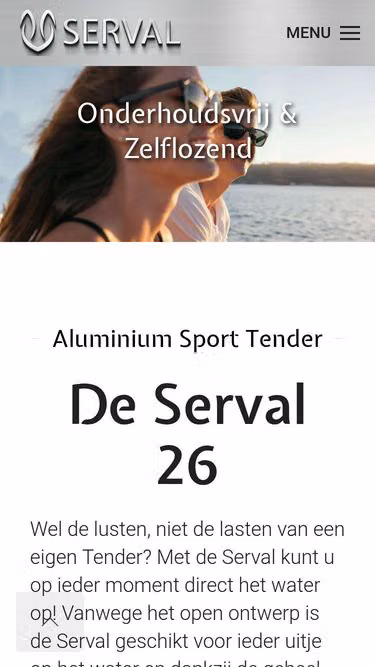 Screenshot of serval.eu