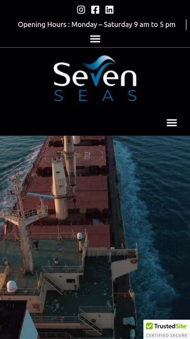 Screenshot of sevenseas.group