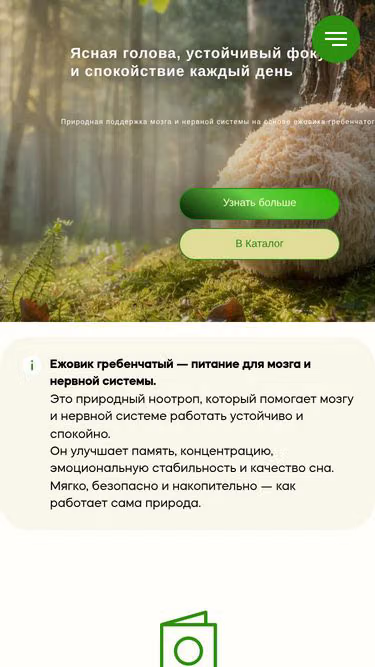 Screenshot of sfl.by