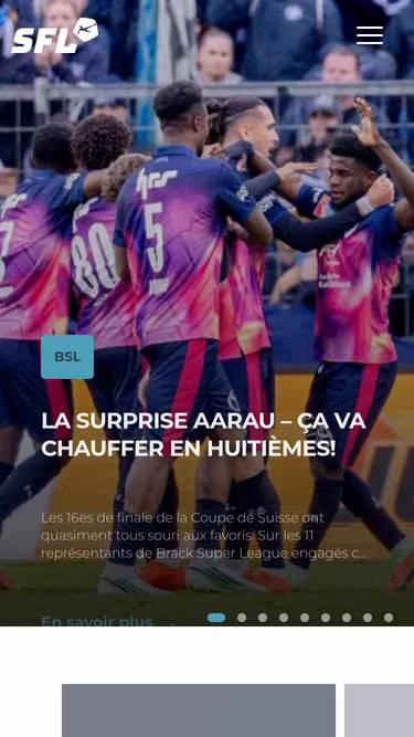 Screenshot of sfl.ch