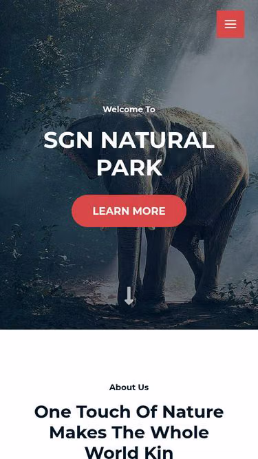 Screenshot of sgn.dk