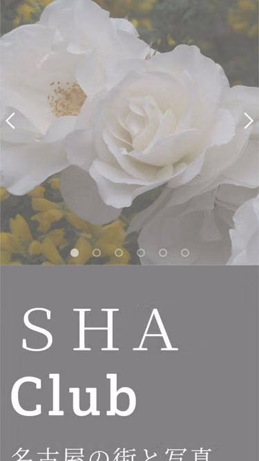 Screenshot of shac.co.jp