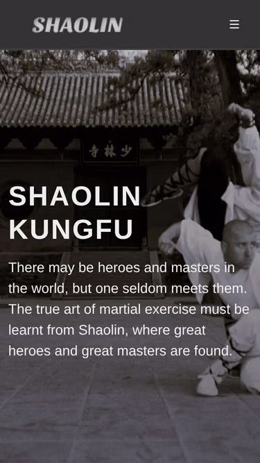 Screenshot of shaolin.nl