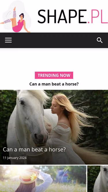 Screenshot of shape.pl
