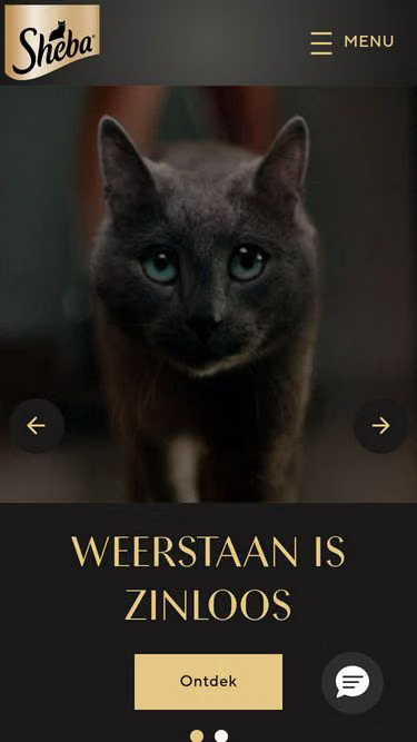 Screenshot of sheba.be