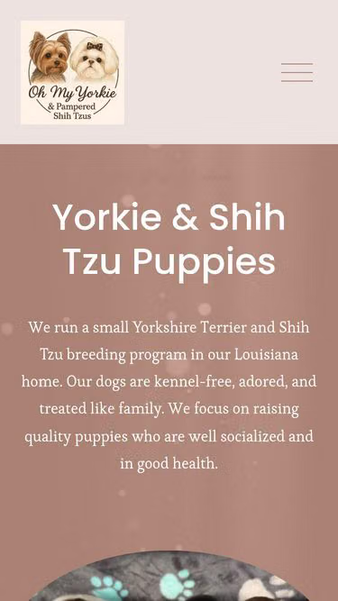 Screenshot of shihtzu.forsale