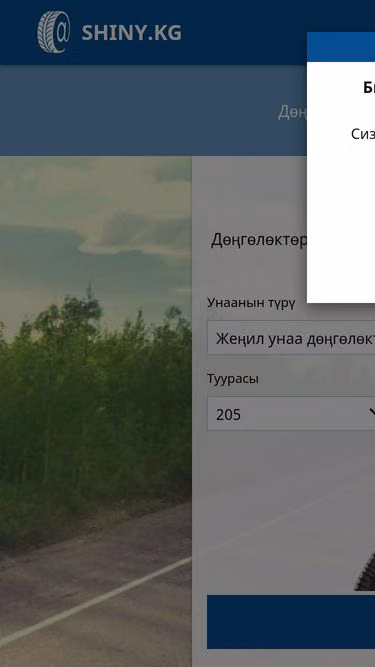 Screenshot of shiny.kg