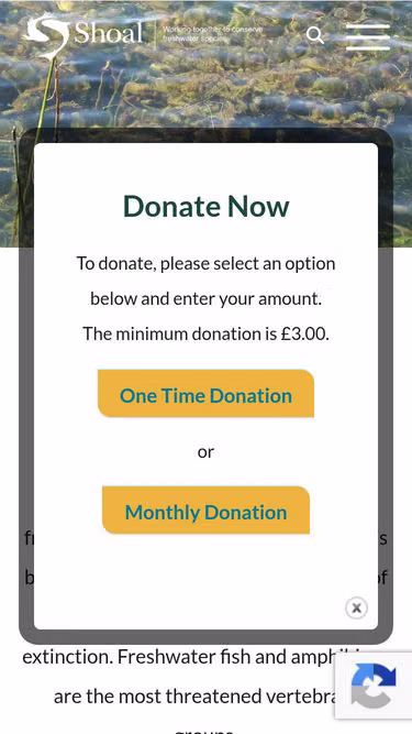 Screenshot of shoal.org