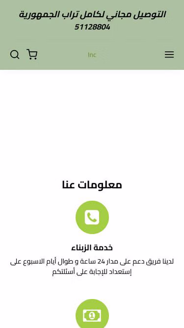 Screenshot of shopwise.tn