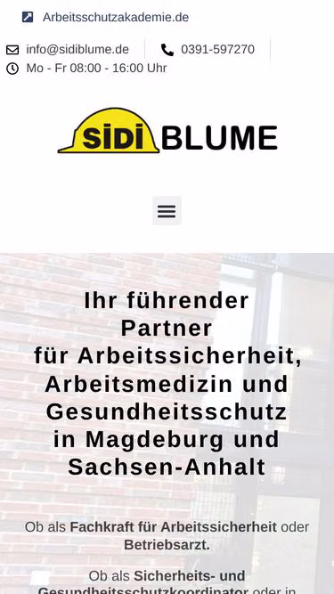 Screenshot of sidi.de