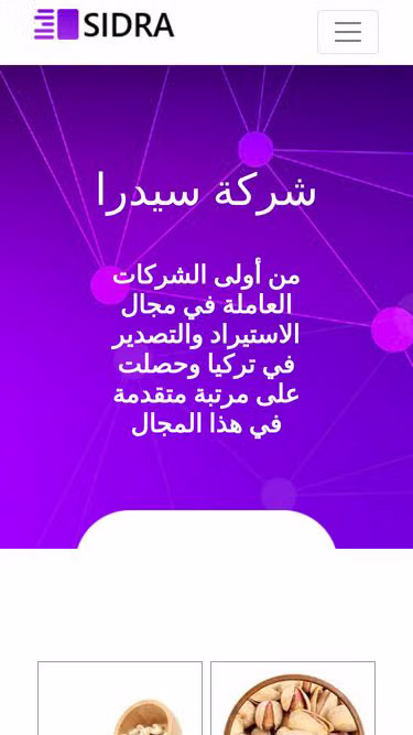 Screenshot of sidra.site
