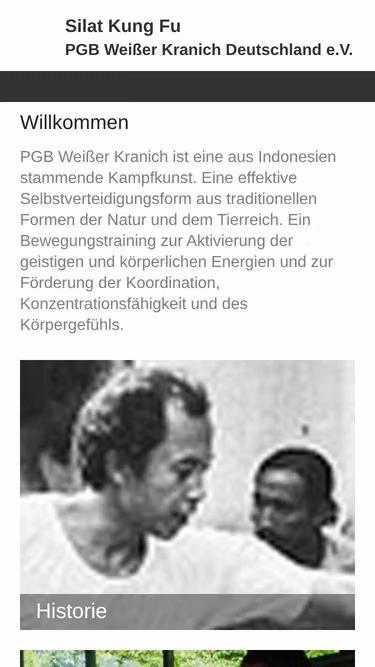 Screenshot of silat.de