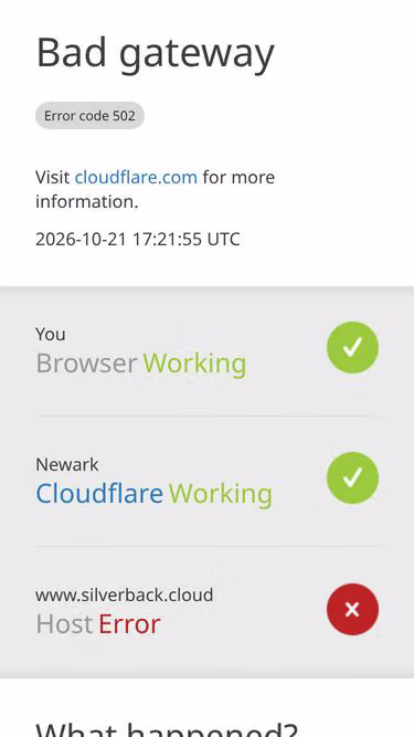 Screenshot of silverback.cloud