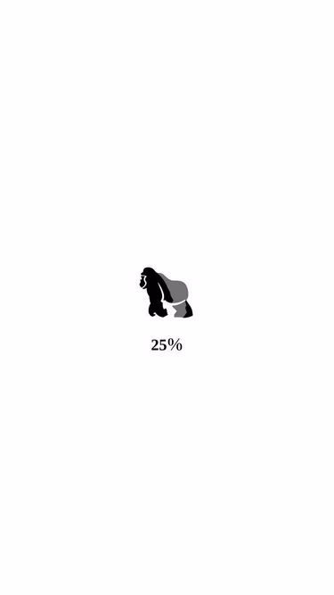 Screenshot of silverback.team