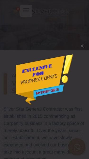 Screenshot of silverstar.sg