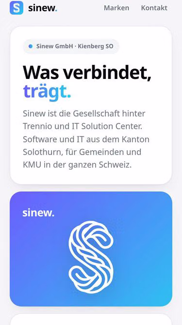 Screenshot of sinew.ch