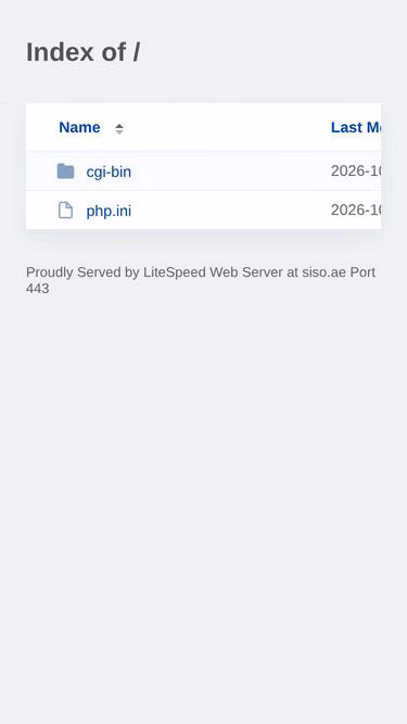 Screenshot of siso.ae