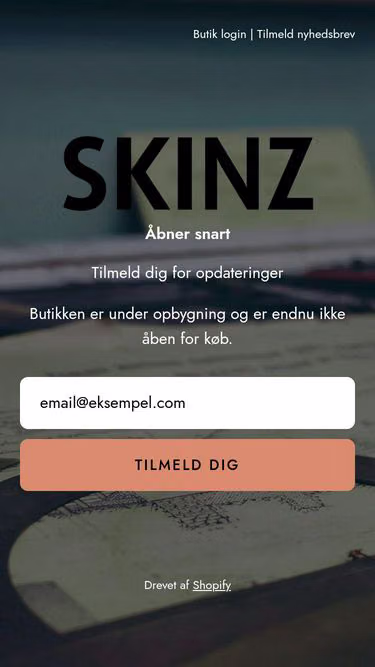 Screenshot of skinz.eu