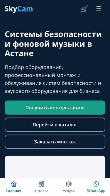Screenshot of skycam.kz