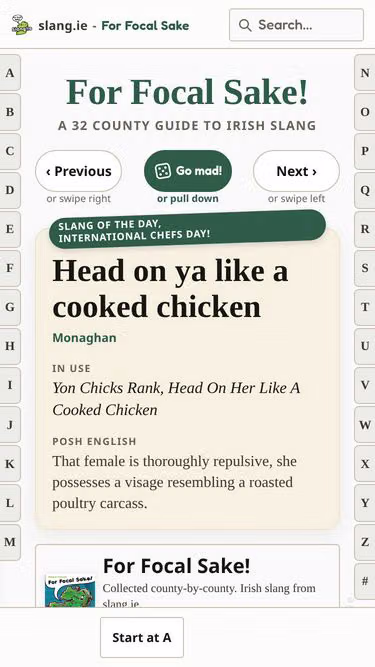 Screenshot of slang.ie