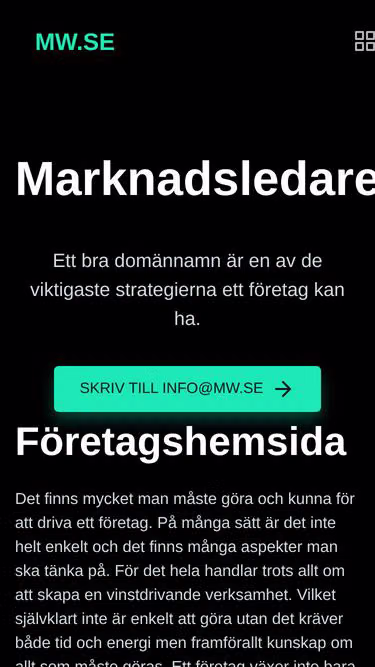 Screenshot of slm.se