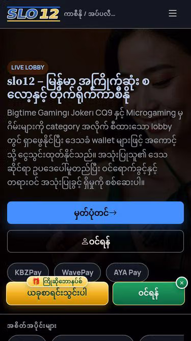 Screenshot of slo12.info