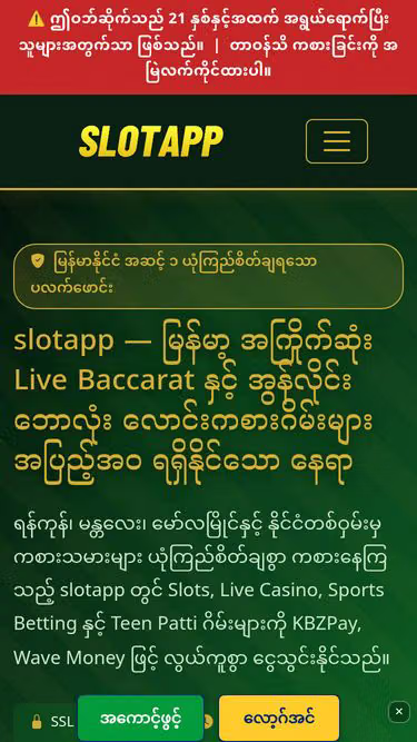 Screenshot of slotapp.bar