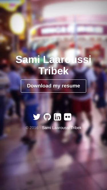 Screenshot of slt.fr