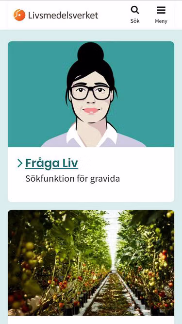 Screenshot of slv.se
