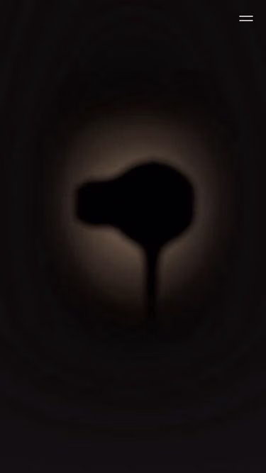 Screenshot of smartflow.hair