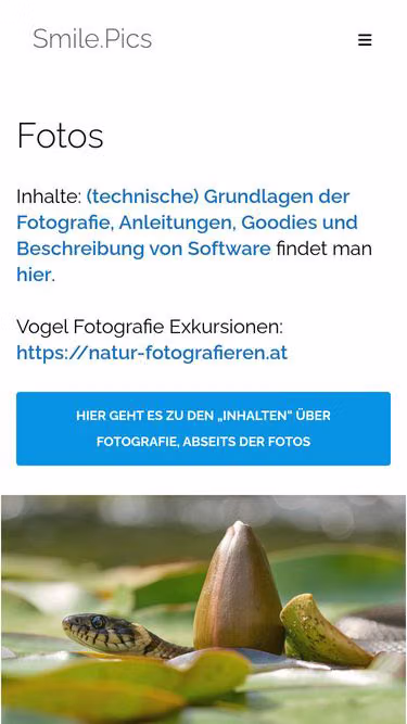 Screenshot of smile.pics