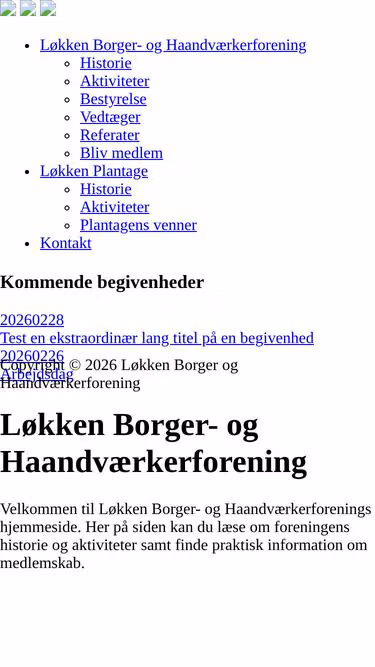 Screenshot of smn.dk