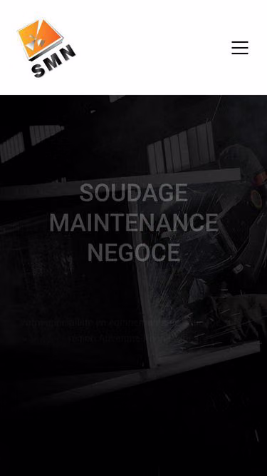 Screenshot of smn.fr