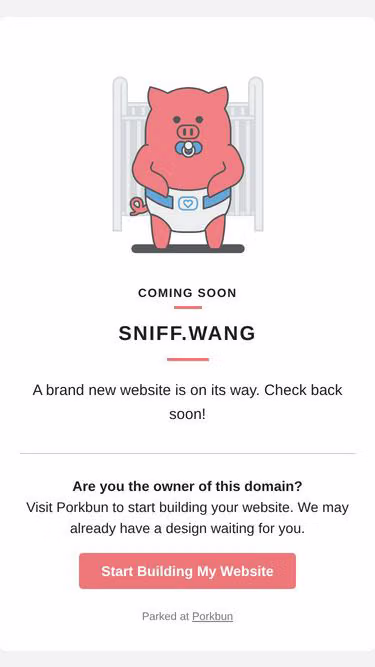 Screenshot of sniff.wang