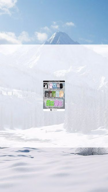 Screenshot of snow.cl
