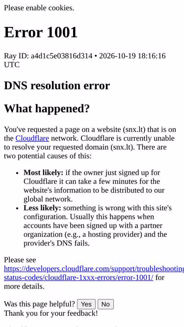 Screenshot of snx.lt