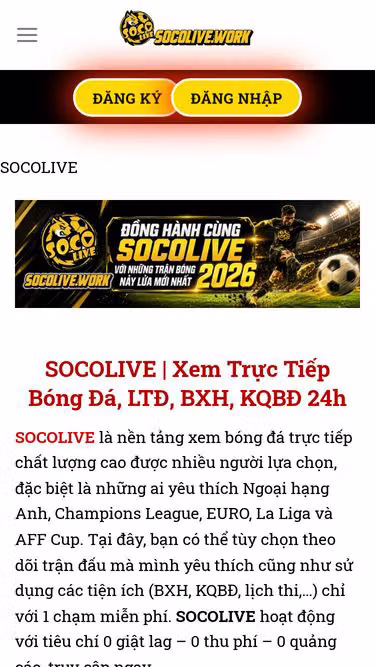 Screenshot of socolive.work