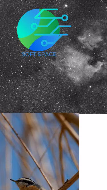Screenshot of softspace.us