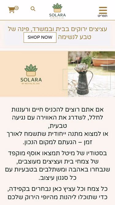 Screenshot of solara.co.il