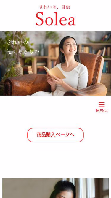Screenshot of solea.shop