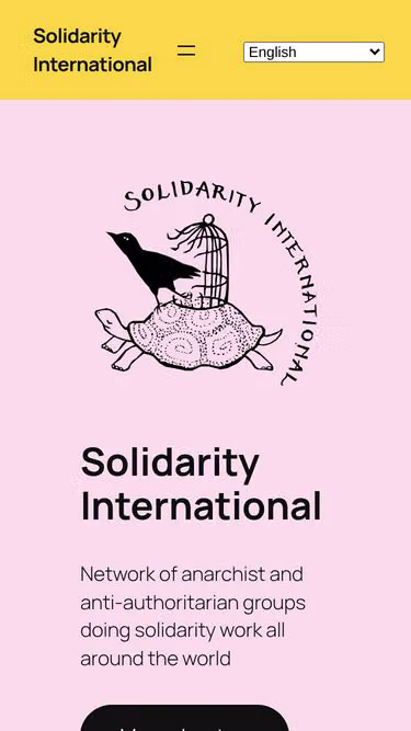 Screenshot of solidarity.international