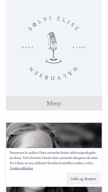 Screenshot of solvi.se