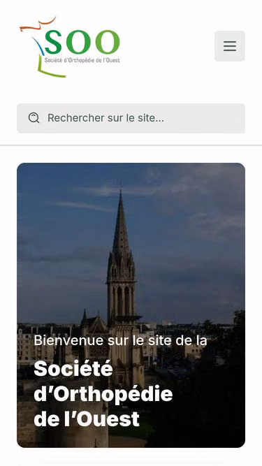 Screenshot of soo.com.fr