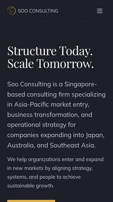 Screenshot of soo.consulting