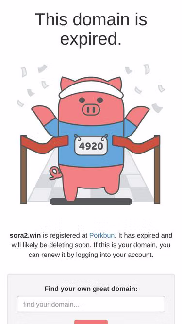 Screenshot of sora2.win